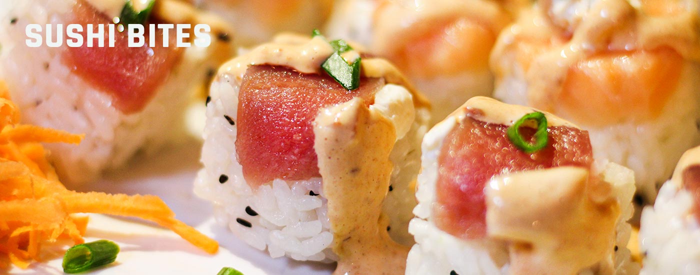 sushi_bites_this_way_sushi